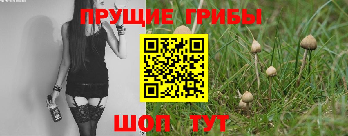 Усть-Илимск  Галлюциногенные грибы Cubensis  Вход с VPN  Галлюциногенные грибы Psilocybe 